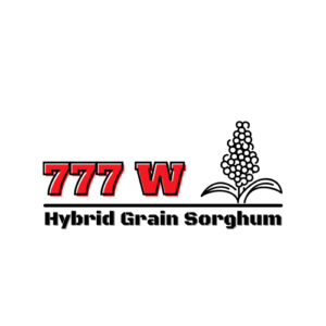 777 W