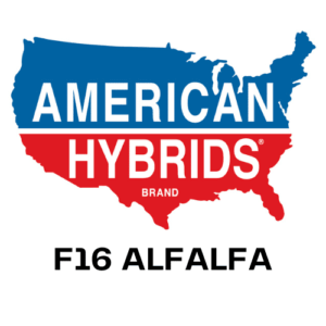 American Hybrids F16