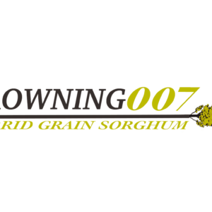 Browning 007