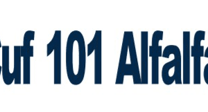 Cuf 101