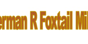 German R Foxtail Millet