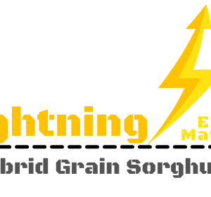 Lightning (Early Maturity)