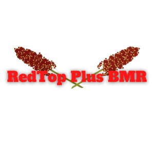 RedTop Plus BMR