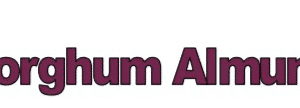 Sorghum Alumum