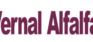 Vernal Alfalfa