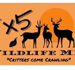 5×5 Wildlife Mix