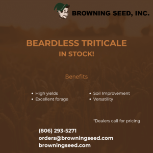 TRITICALE